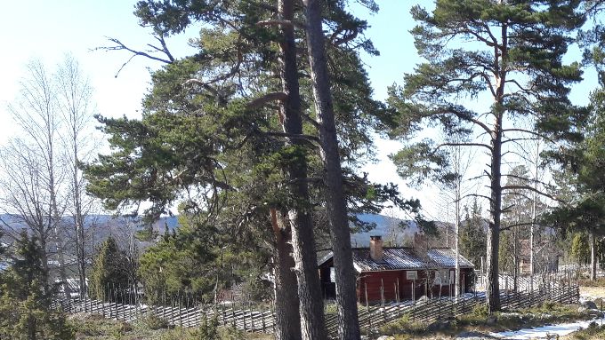 Fäbodgudstjänst söndagen den 24 juli 2022 kl.15.00


