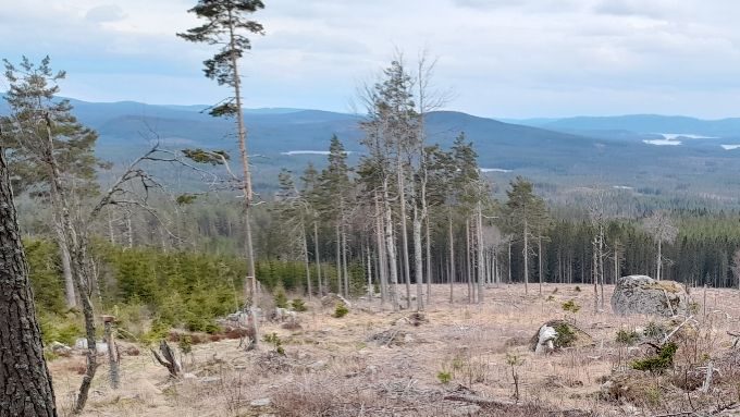 Bänk finns också för att beundra utsikten från södra sidan av Grejsartoppen.